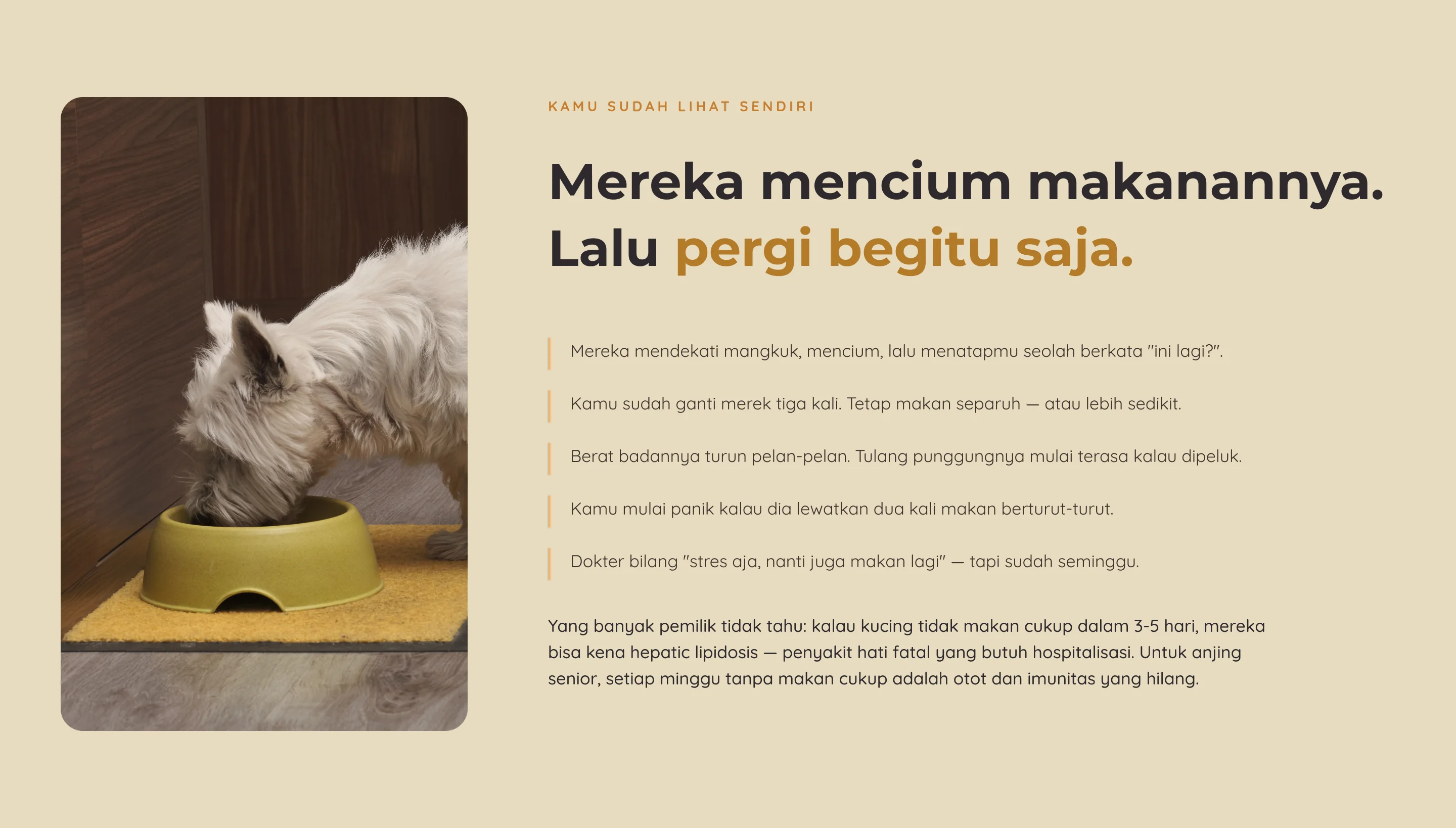 Appetite Booster — 2. Pain