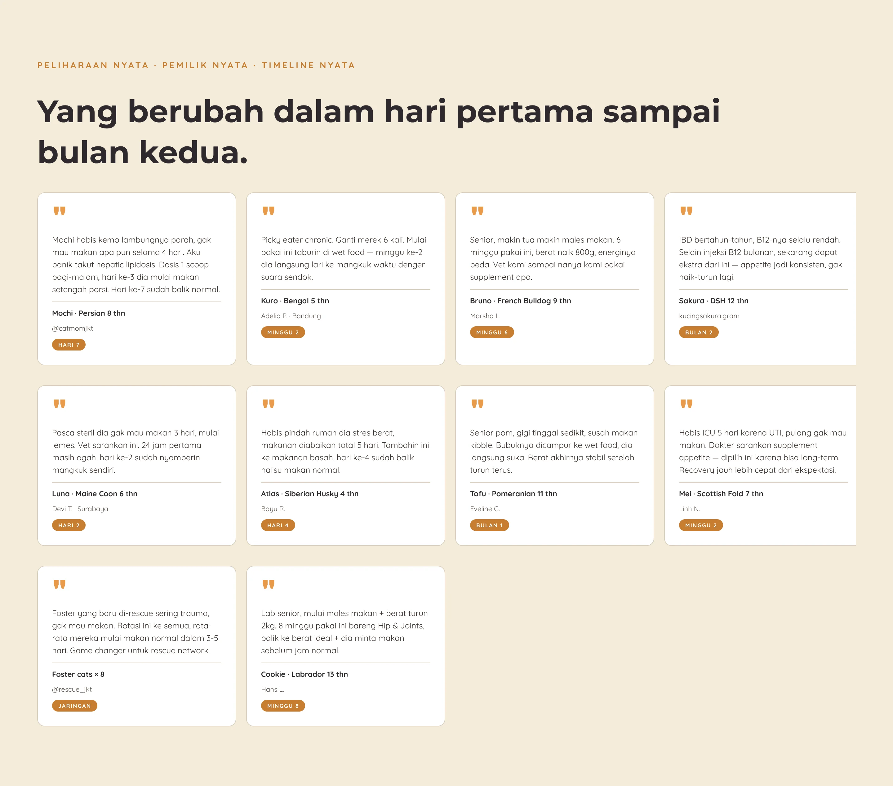 Appetite Booster — 7. Testimonials