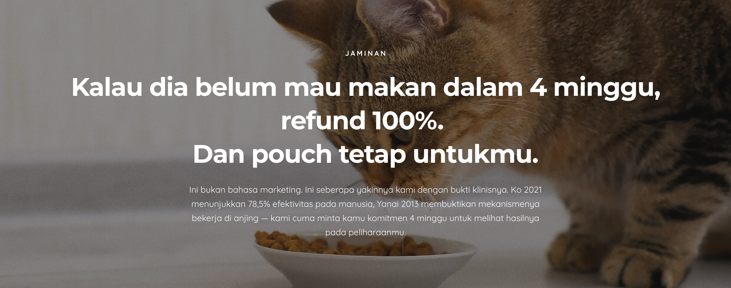 Appetite Booster — 9. Guarantee