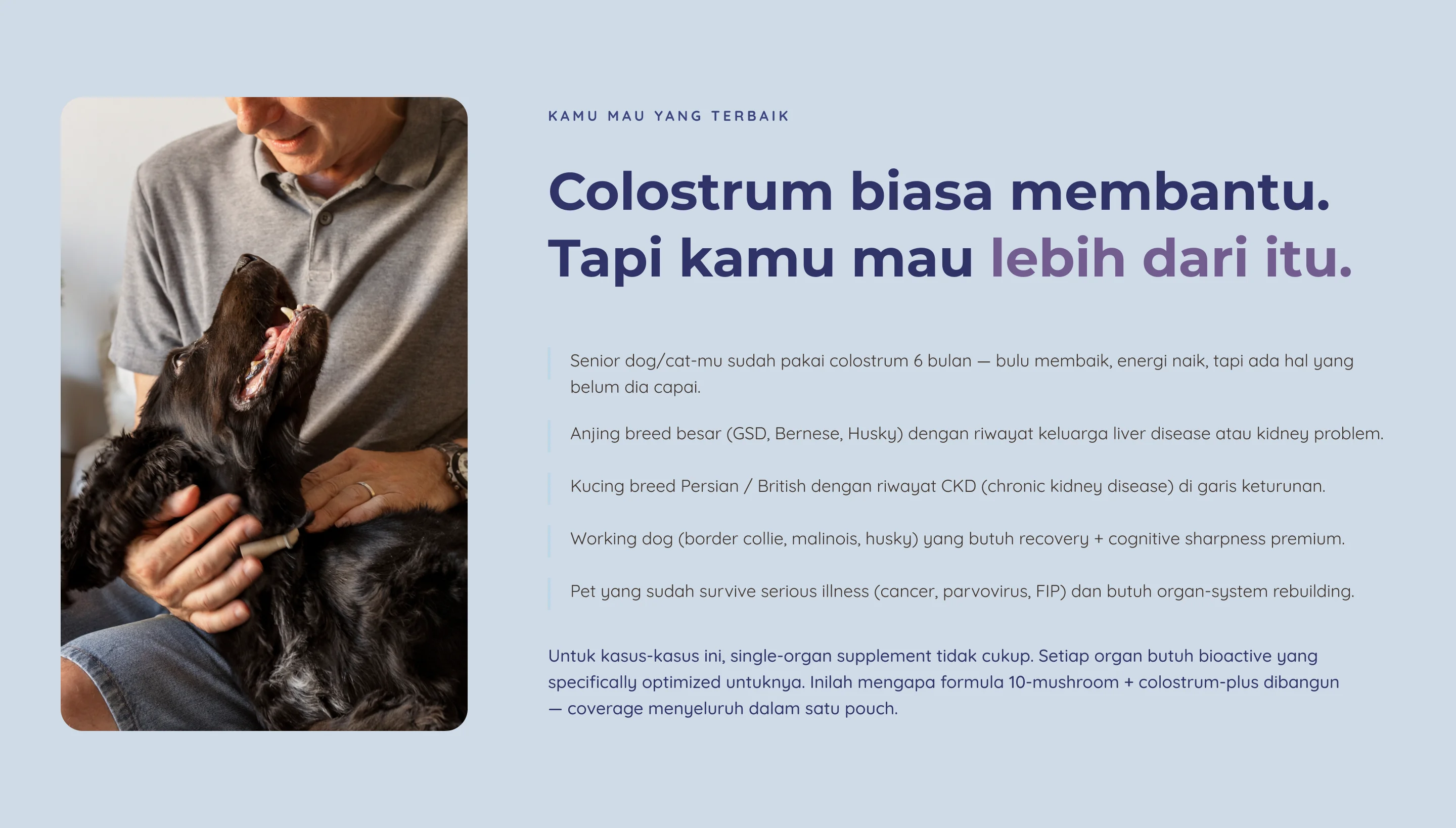 Colostrum Plus — 2. Pain