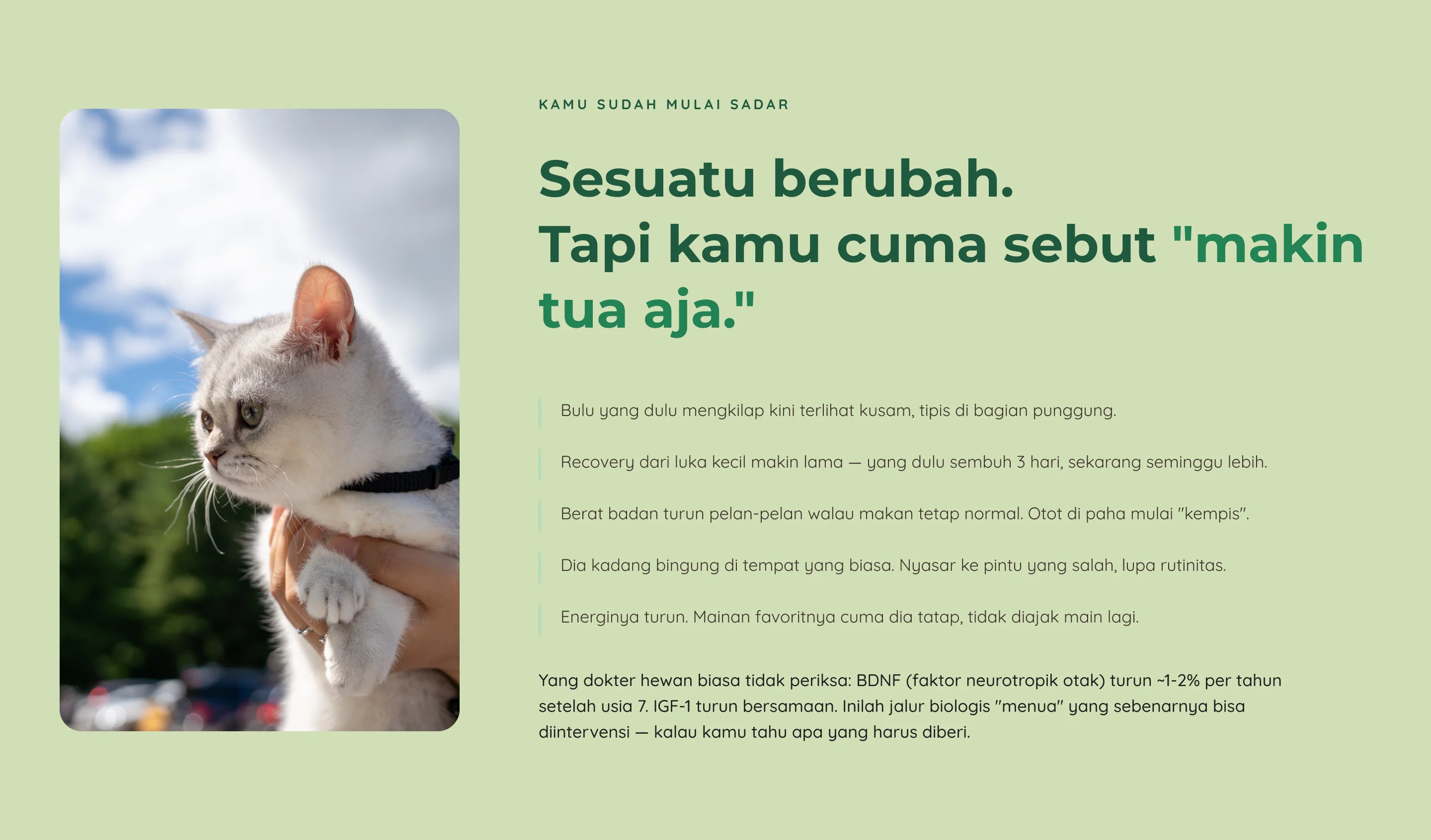 Colostrum — 2. Pain