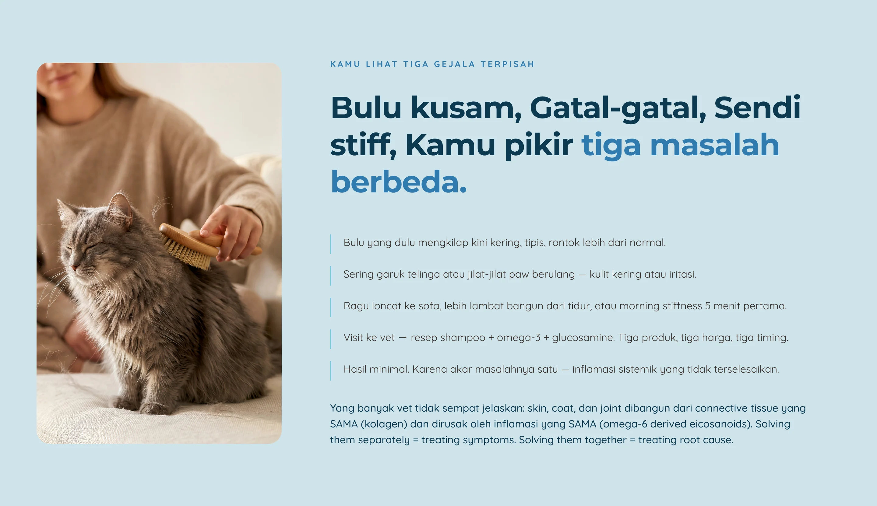 Multi Collagen — 2. Pain