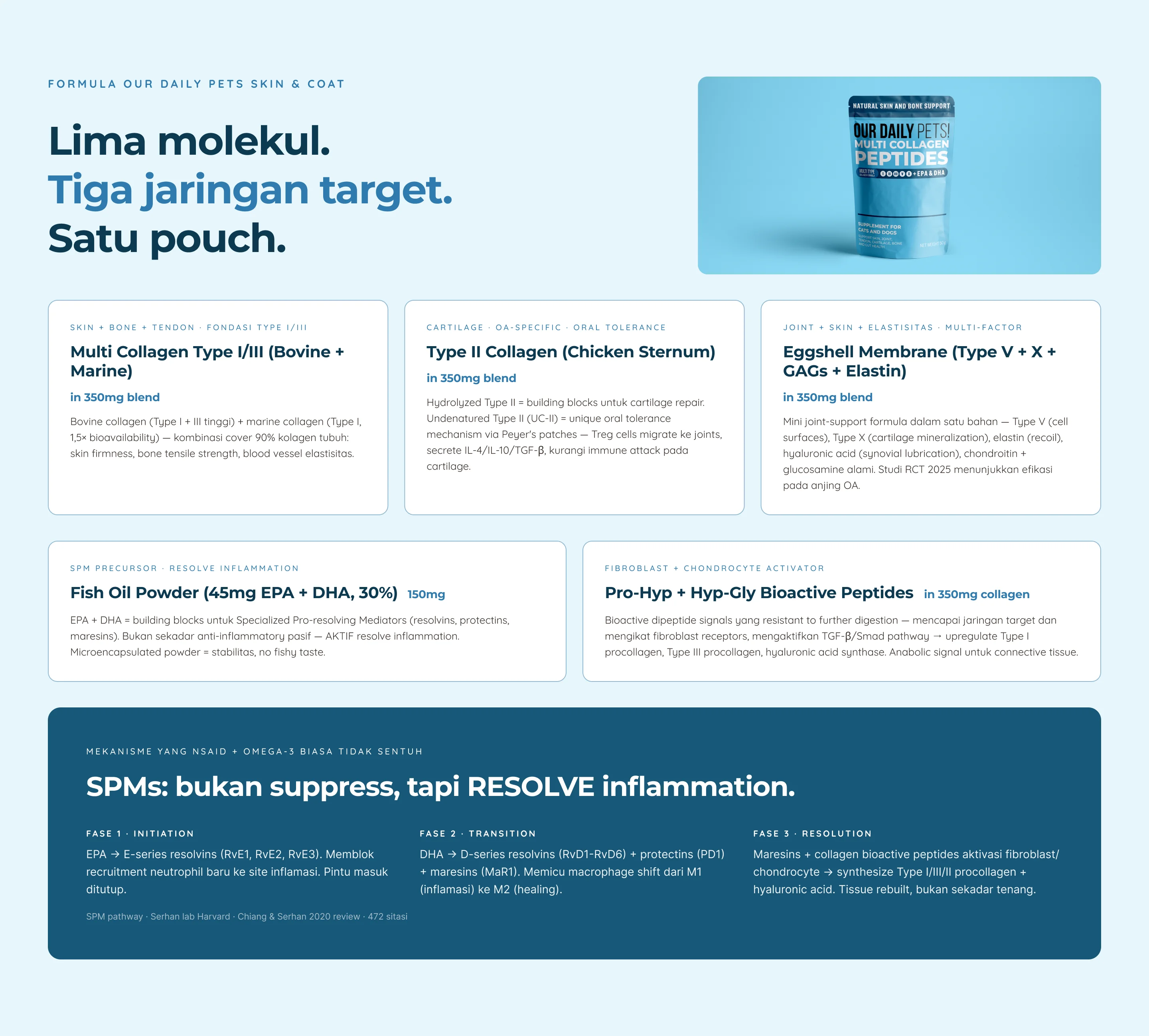 Multi Collagen — 5. Mechanism