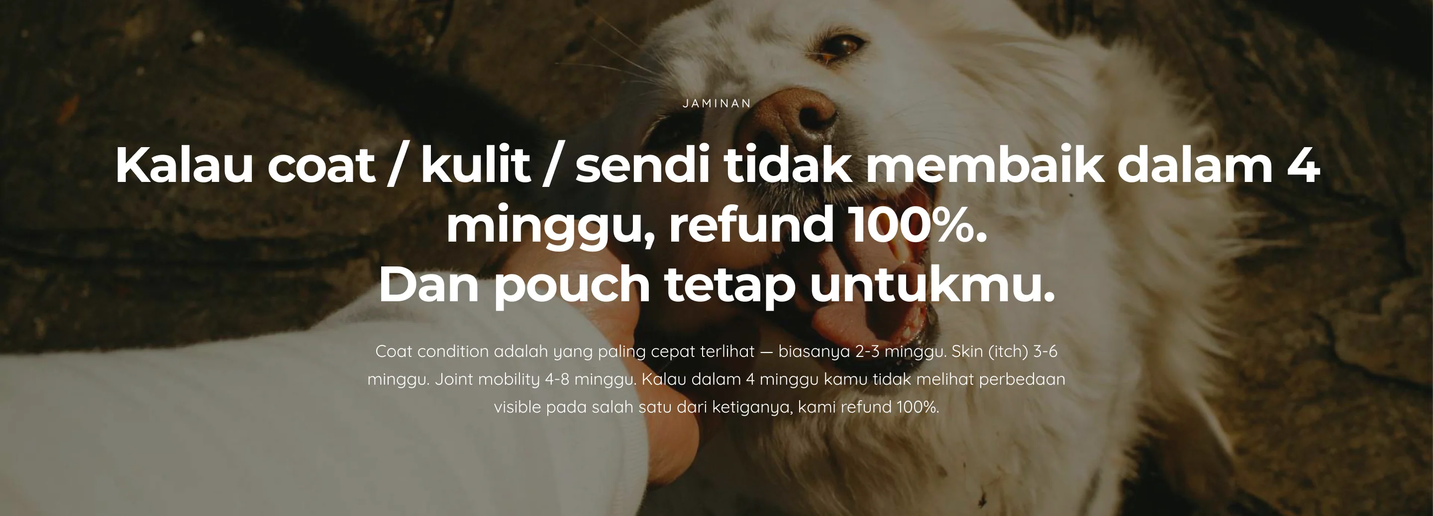 Multi Collagen — 9. Guarantee