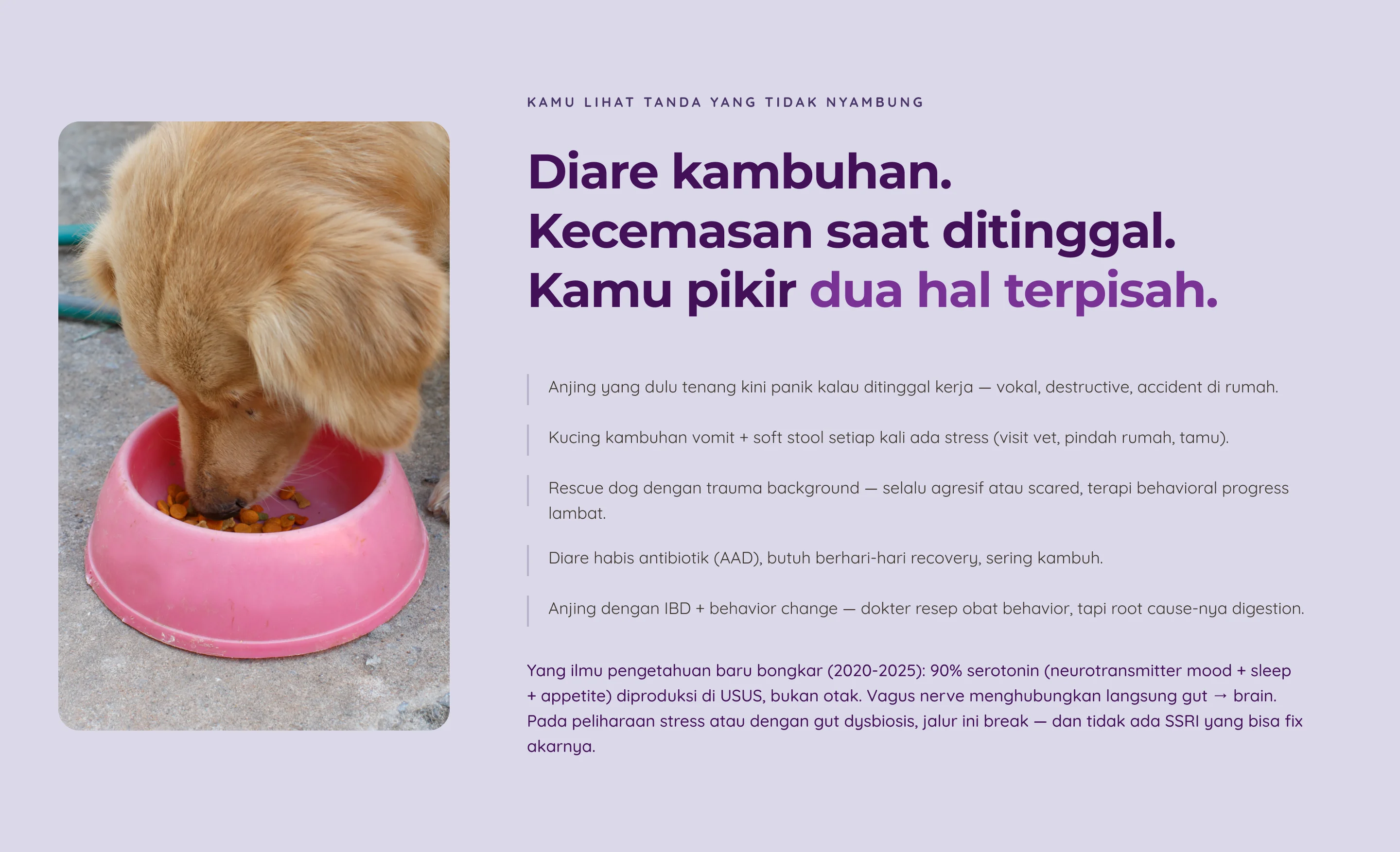 Probiotics — 2. Pain
